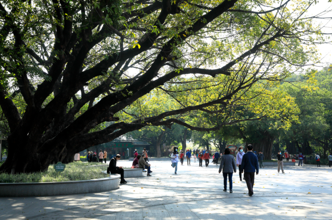 副业赚钱_全网热议的解压“神器”，到底靠不靠谱？_副业教程