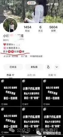 副业赚钱_流量掘金付费进群项目流程拆解_副业教程