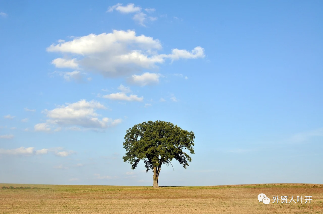 副业赚钱_11条亚马逊运营经验,能避不少坑_副业教程 副业赚钱_11条亚马逊运营经验,能避不少坑_副业教程