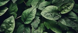 副业赚钱_《如何管理亚马逊运营团队》_副业教程-逸佳笔记-专注于副业赚钱教程