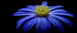 副业赚钱_《亚马逊运营SOP认知》_副业教程-逸佳笔记-专注于副业赚钱教程