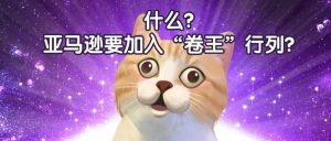 副业赚钱_质疑、理解、成为!亚马逊将变身“亚多多”?_副业教程-逸佳笔记-专注于副业赚钱教程