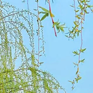 副业赚钱_亚马逊广告怎么打才有效?_副业教程 副业赚钱_亚马逊广告怎么打才有效?_副业教程