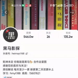 副业赚钱_黑马影探·中视频项目_副业教程-逸佳笔记-专注于副业赚钱教程