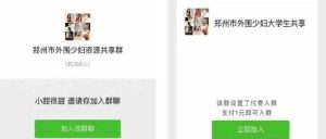 副业赚钱_最新付费进群系统(带ding位) 源码+教程_副业教程-逸佳笔记-专注于副业赚钱教程