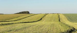 副业赚钱_新手怎么系统地学习亚马逊运营知识？_副业教程-逸佳笔记-专注于副业赚钱教程