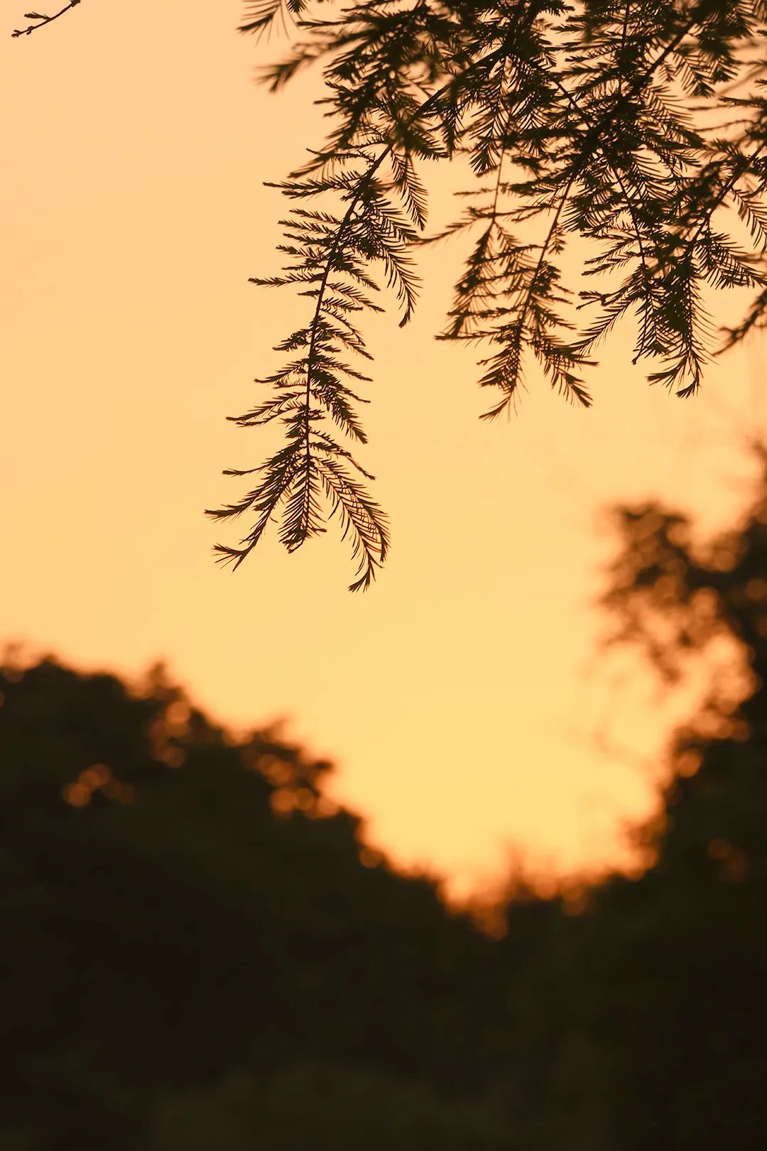 副业赚钱_亚马逊运营入门指南_副业教程