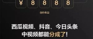 副业赚钱_【中视频】项目怎么运作月入5W+_副业教程-逸佳笔记-专注于副业赚钱教程