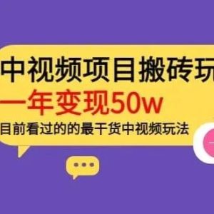 副业赚钱_《中视频项目搬砖，一年变现50w》目前看过的的最干货中视频玩法_副业教程-逸佳笔记-专注于副业赚钱教程