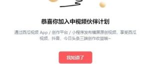 副业赚钱_小淘中视频项目2.0:无需真人出镜,无脑实拍赚收益(原创视频课程)_副业教程-逸佳笔记-专注于副业赚钱教程