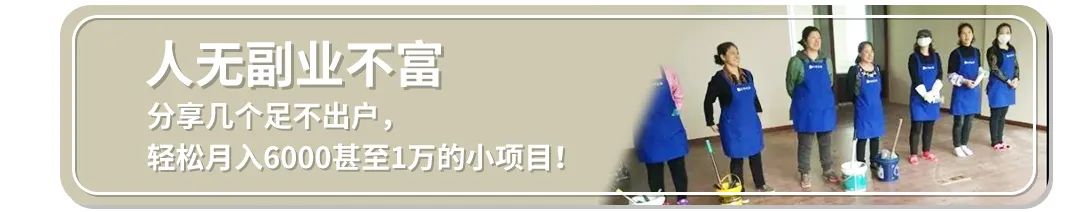 副业赚钱_偏门小项目,一天拿出10分钟,月入20000以上_副业教程 副业赚钱_偏门小项目,一天拿出10分钟,月入20000以上_副业教程