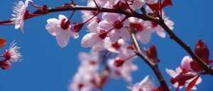 副业赚钱_亚马逊运营最应该关注的80个提高转化率细节！_副业教程-逸佳笔记-专注于副业赚钱教程