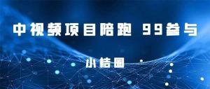 副业赚钱_小桔圈:月入小几千的中视频项目陪跑,99 ya金打卡参与_副业教程-逸佳笔记-专注于副业赚钱教程