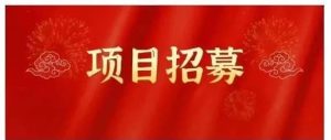 副业赚钱_高鹏圈·蓝海中视频项目视频教程_副业教程-逸佳笔记-专注于副业赚钱教程
