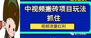 副业赚钱_中视频搬砖变现项目_副业教程-逸佳笔记-专注于副业赚钱教程