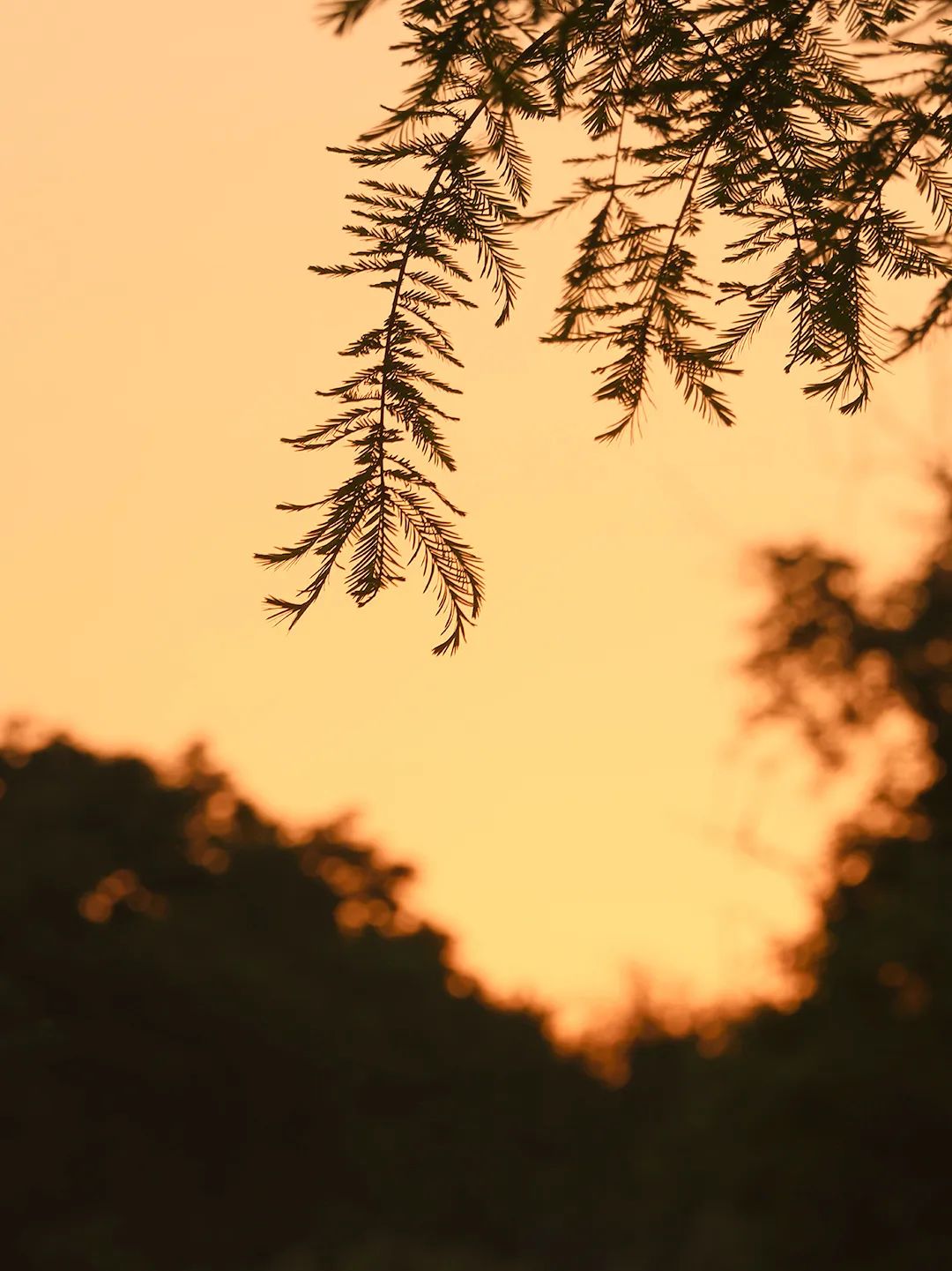 副业赚钱_亚马逊运营入门指南_副业教程