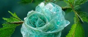 副业赚钱_亚马逊运营中各类风险汇总-1_副业教程-逸佳笔记-专注于副业赚钱教程