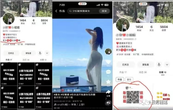 副业赚钱_【流量印钞机】流量变现+付费进群项目，一对一帮你打通互联网创业的最后一公里_副业教程