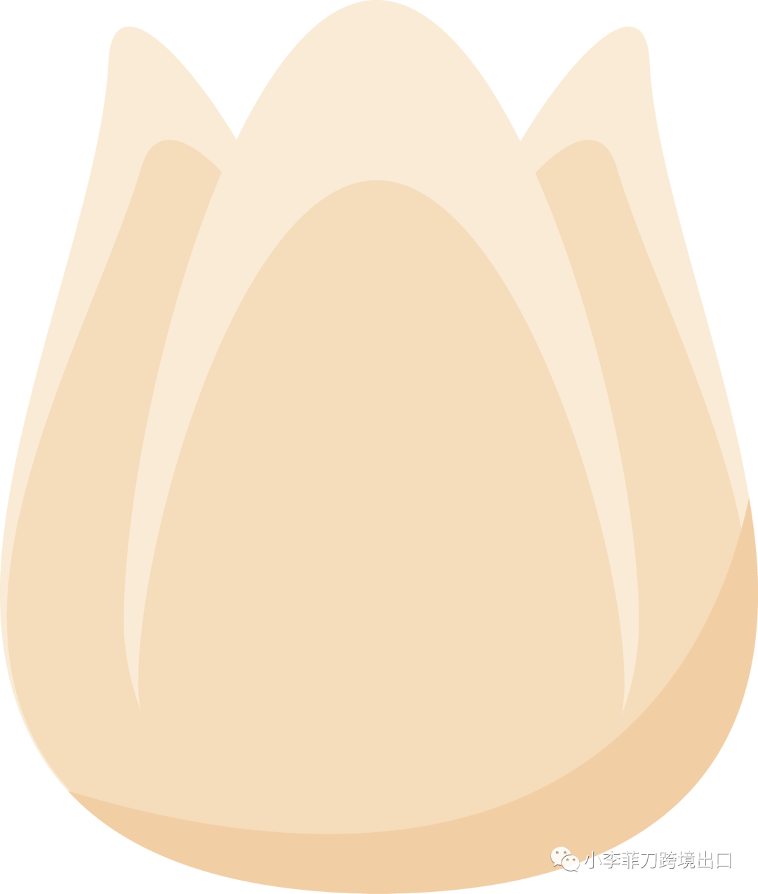 副业赚钱_亚马逊运营全流程（吐血干货分享）_副业教程