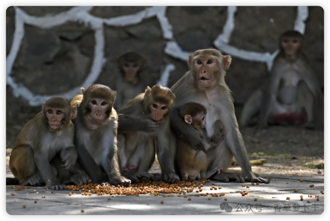 副业赚钱_在线图片压缩、格式转换工具 - HiCompress_副业教程 副业赚钱_在线图片压缩、格式转换工具 - HiCompress_副业教程