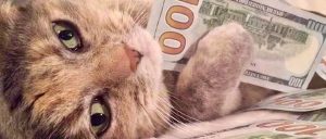 副业赚钱_揭秘付费进群系统项目,日入500_副业教程-逸佳笔记-专注于副业赚钱教程