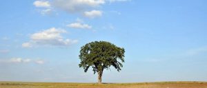 副业赚钱_11条亚马逊运营经验，能避不少坑_副业教程-逸佳笔记-专注于副业赚钱教程