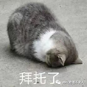 副业赚钱_干货！如何做好亚马逊店铺运营？_副业教程