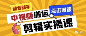 副业赚钱_课虫拆解:被卖到几千块的中视频搬运项目,适合新手操作!_副业教程-逸佳笔记-专注于副业赚钱教程