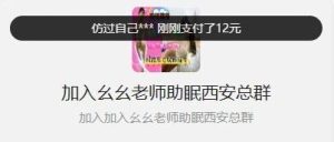 副业赚钱_一些有关于付费进群系统的问题解答_副业教程-逸佳笔记-专注于副业赚钱教程