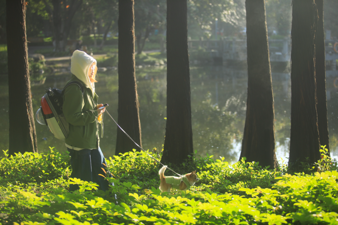 副业赚钱_全网热议的解压“神器”，到底靠不靠谱？_副业教程