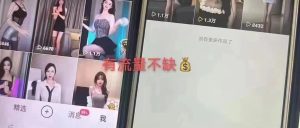 副业赚钱_S粉付费入群项目，单日收入300+_副业教程-逸佳笔记-专注于副业赚钱教程