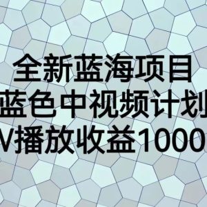 副业赚钱_全新蓝海项目，蓝色中视频计划，1W播放量1000+ [网友投稿]_副业教程-逸佳笔记-专注于副业赚钱教程