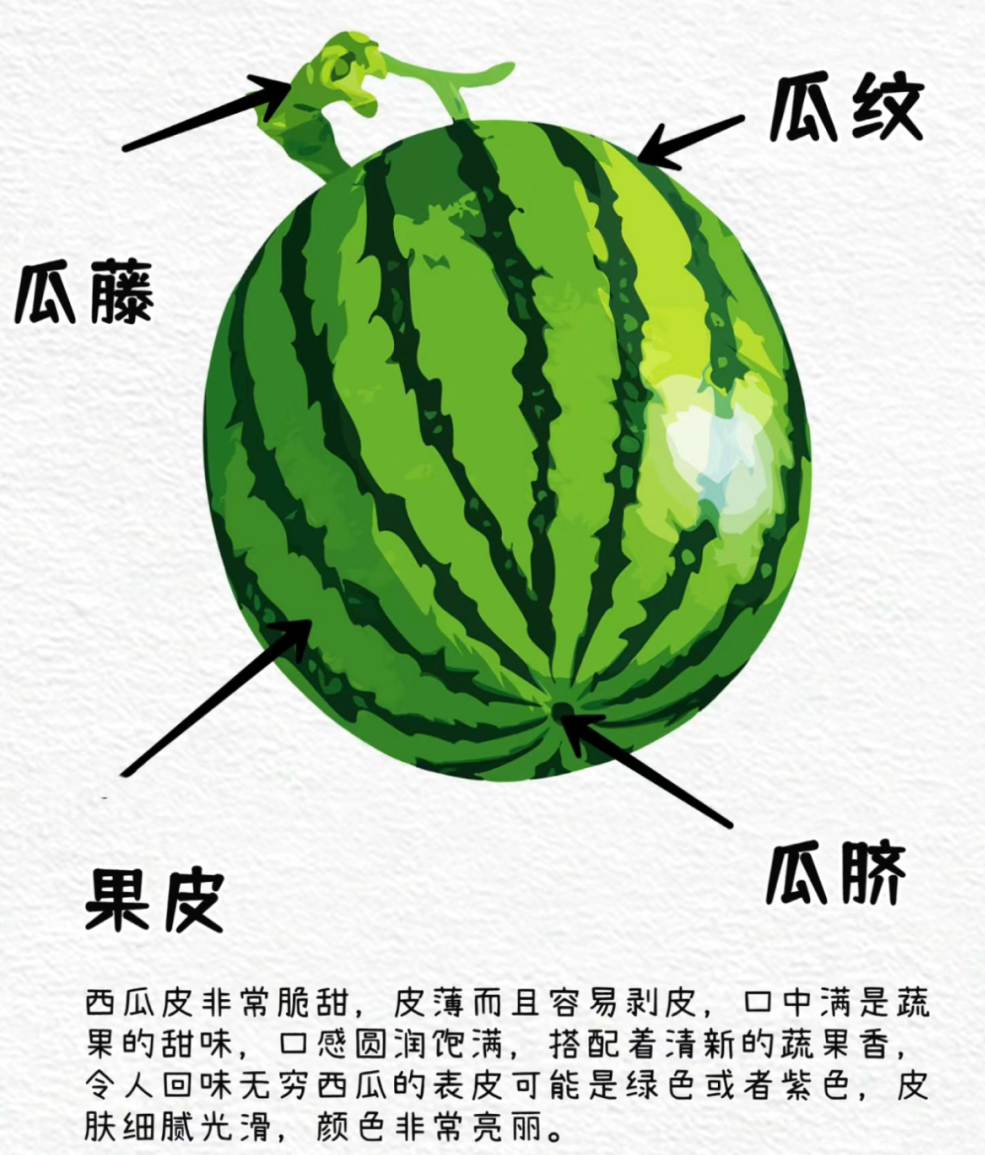 副业赚钱_【项目课程·滨江】一起吃瓜 | 小三班项目课程_副业教程 副业赚钱_【项目课程·滨江】一起吃瓜 | 小三班项目课程_副业教程