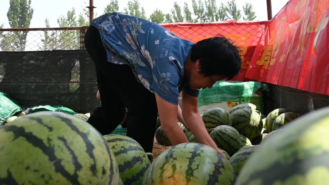 副业赚钱_走！吃瓜去→_副业教程