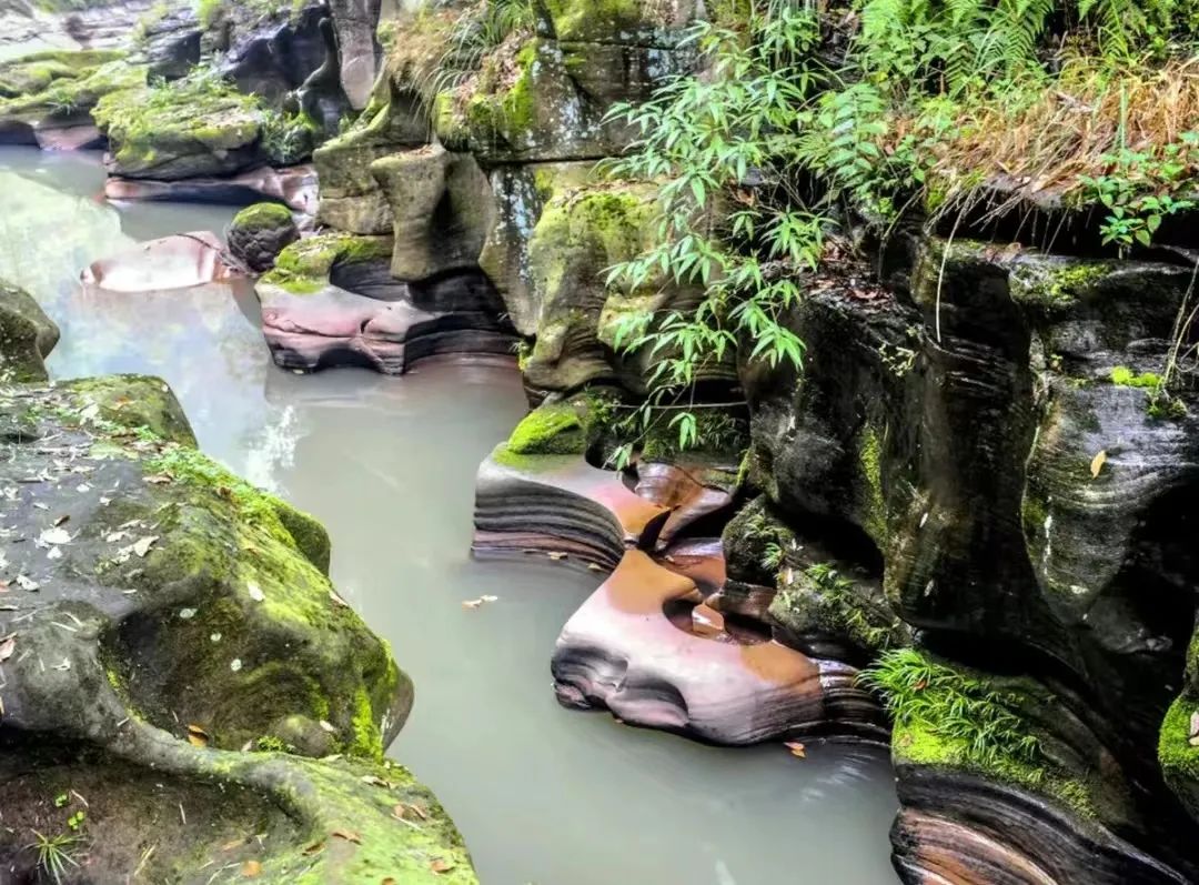 副业赚钱_江津“吃瓜群众”集合！量大管饱~_副业教程