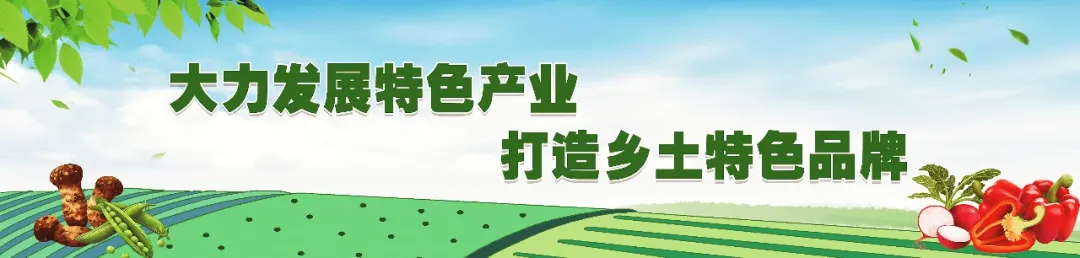 副业赚钱_再过十天,一场全国“土特产”的盛会将在夏邑举行!_副业教程 副业赚钱_再过十天,一场全国“土特产”的盛会将在夏邑举行!_副业教程