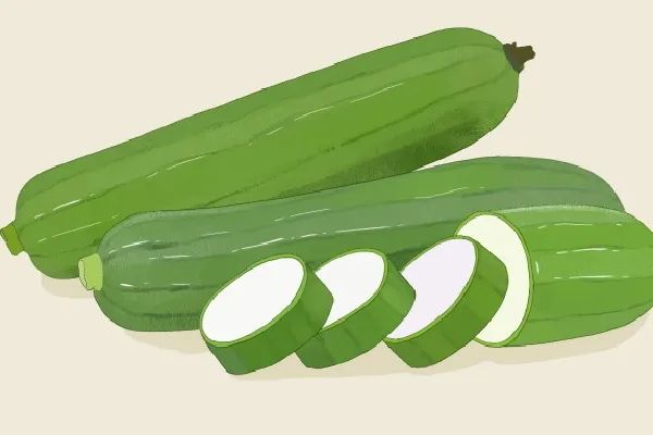 副业赚钱_三伏天吃三瓜指的哪三种瓜？_副业教程