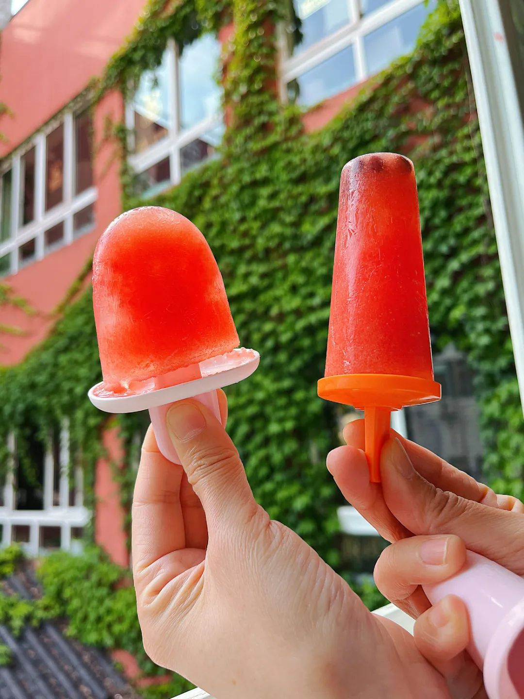 副业赚钱_【食育微项目】夏耘：夏日吃“瓜”乐_副业教程