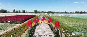 副业赚钱_以瓜为媒 共赴“甜蜜”之约——金塔县第二届西甜瓜产业发展大会侧记_副业教程-逸佳笔记-专注于副业赚钱教程