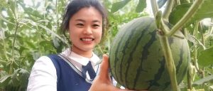 副业赚钱_这里的西瓜熟了，鲜甜多汁还可以采摘，快来做个“吃瓜群众”！_副业教程-逸佳笔记-专注于副业赚钱教程