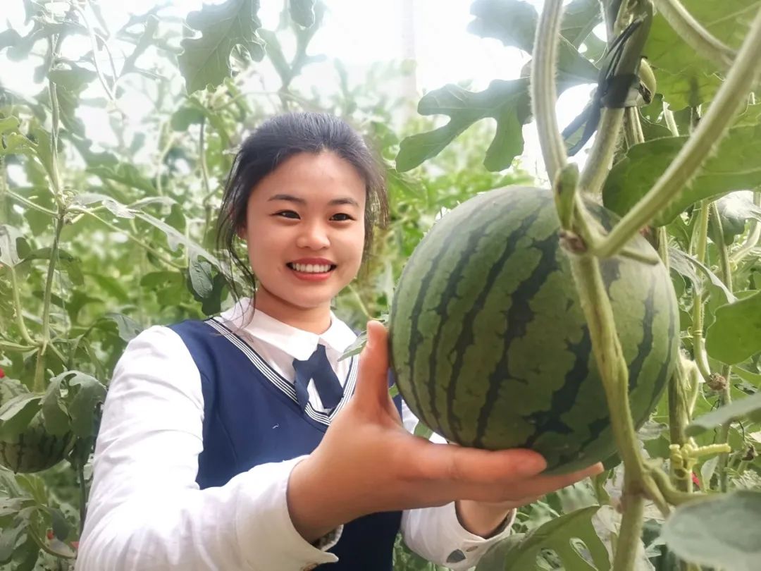 副业赚钱_这里的西瓜熟了，鲜甜多汁还可以采摘，快来做个“吃瓜群众”！_副业教程