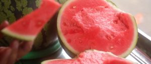 副业赚钱_18元/斤?今年西瓜价格大涨?吃瓜群众必读_副业教程-逸佳笔记-专注于副业赚钱教程