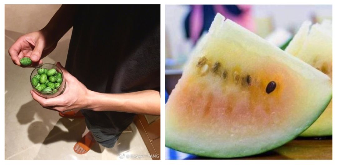 副业赚钱_为什么说中国的吃瓜群众战斗力超群?_副业教程 副业赚钱_为什么说中国的吃瓜群众战斗力超群?_副业教程