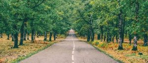 副业赚钱_公众号3个引流方法，祝你快速涨粉（超适合新手）_副业教程-逸佳笔记-专注于副业赚钱教程