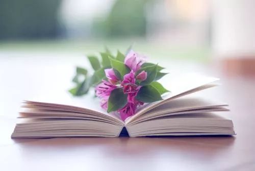 副业赚钱_如何做好公众号引流?_副业教程 副业赚钱_如何做好公众号引流?_副业教程