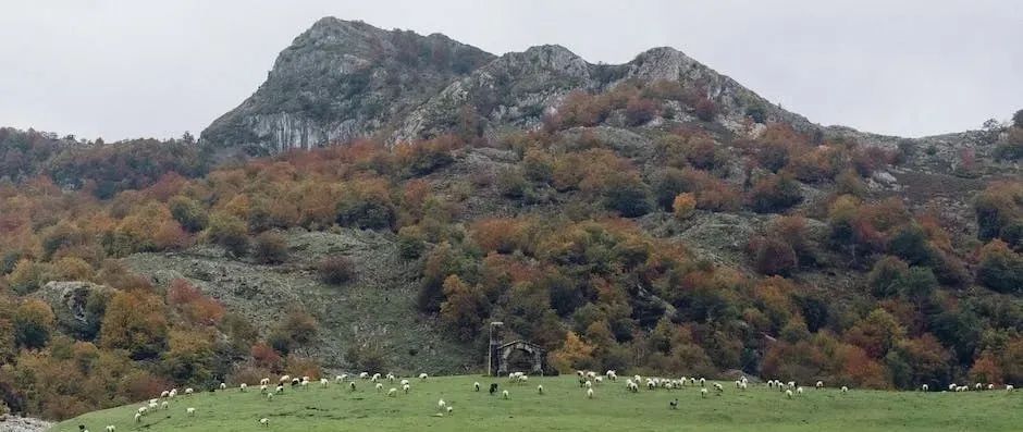 副业赚钱_中视频赚钱项目解析_副业教程