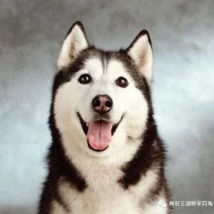 副业赚钱_QQ空间营销的4大策略和引流方法？_副业教程-逸佳笔记-专注于副业赚钱教程