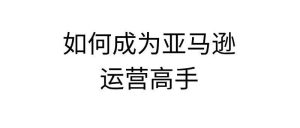 副业赚钱_如何成为一名拔尖的亚马逊运营？_副业教程-逸佳笔记-专注于副业赚钱教程
