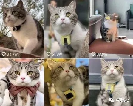 副业赚钱_适合新手操作,中视频搬运项目,月入6000+_副业教程 副业赚钱_适合新手操作,中视频搬运项目,月入6000+_副业教程