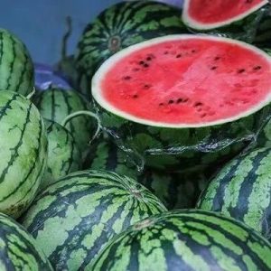 副业赚钱_来这里开启吃瓜模式_副业教程-逸佳笔记-专注于副业赚钱教程